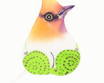 the bird who wore green Start studying sir gawain & the green knight test learn vocabulary, terms, and more with flashcards, games, and other study tools. the bird who wore green Start studying sir gawain & the green knight test learn vocabulary, terms, and more with flashcards, games, and other study tools.