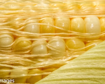 Corn, Vegetable, Food,Instant Download,Printable,Wall Art,Photography,Digital,High Resolution,Large Format,Gift,Kitchen,Decor,Theme,Idea