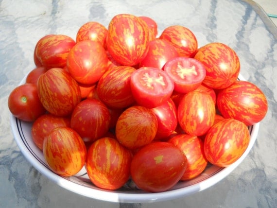 Russian Queen Tomato Seeds Rare Russian Heirloom Variety