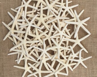 Starfish, Beach Wedding Decor, White Starfish, Finger Starfish, Beach Wedding Favors, Home Decor, Craft Supplies, Table Decor, Coastal Decor