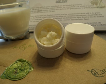 Kefir grains live all natural organic milk kefir grains probiotic scoby ferment healthy beneficial bacteria symbiotic culture bacteria yeast