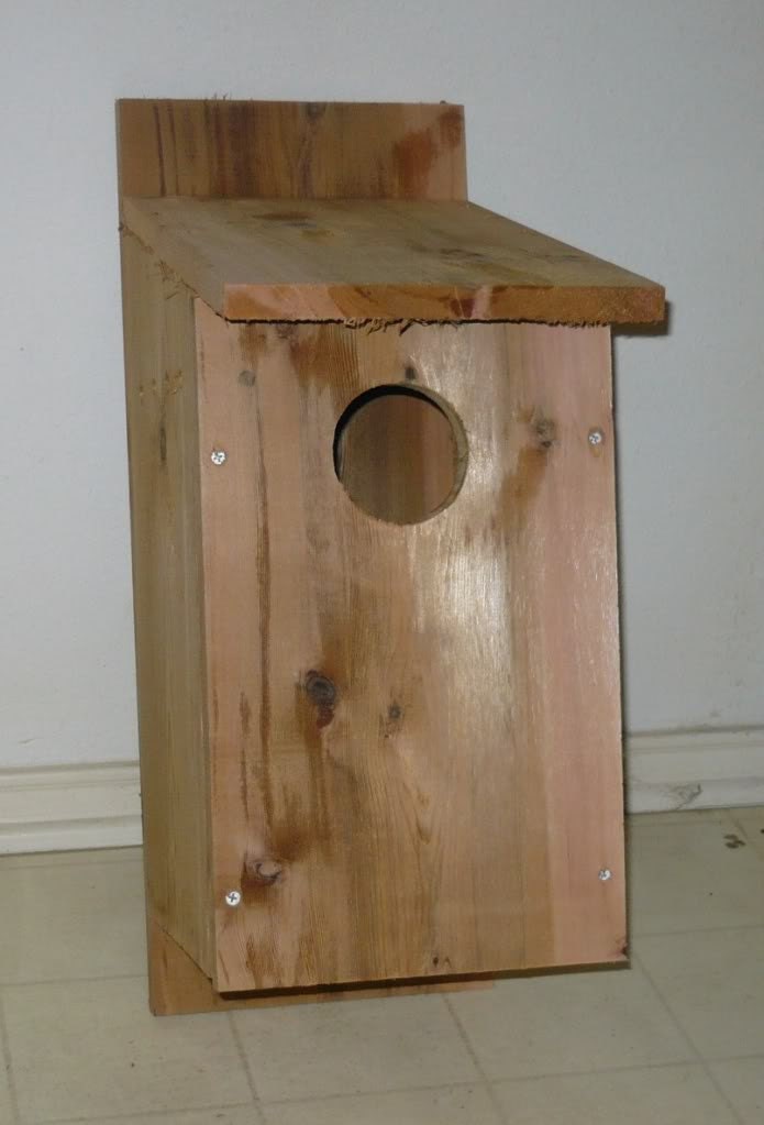 A Brand New Screech Owl Bird House Free Shipping