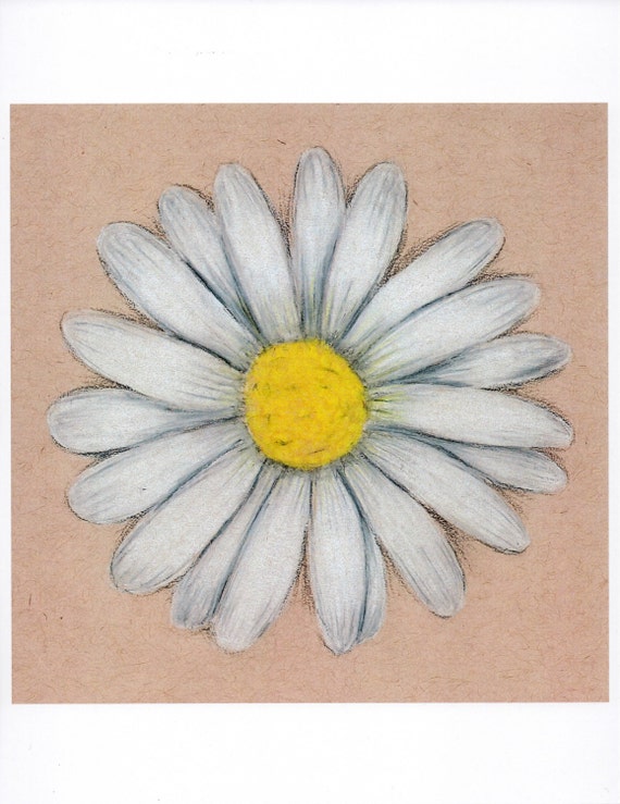 Colored Pencil Daisy by ShopOtterArts on Etsy