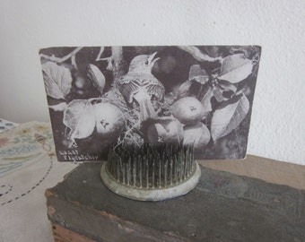 Antique Turn of the Century Bird Post Card