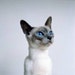 CatIslandCrafts