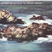 Vintage California Postcard - Seal Rocks in San Francisco (Unused)