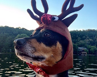Reindeer Antlers for dogs and cats/Rudolph the red nosed reindeer hat for cats and dogs