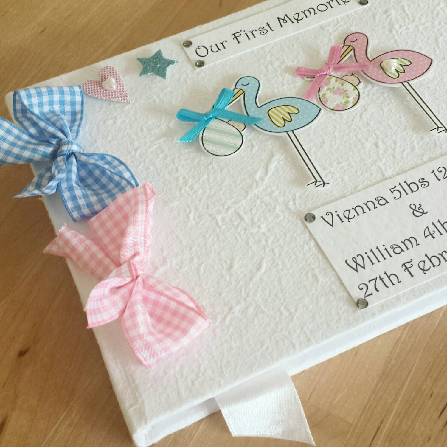 Baby Twins Girl and Boy Memory Book