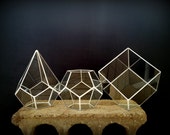 Set of 3 White Terrariums- Dodecahedron Terrarium - Teardrop Terrarium - Cube Terrarium