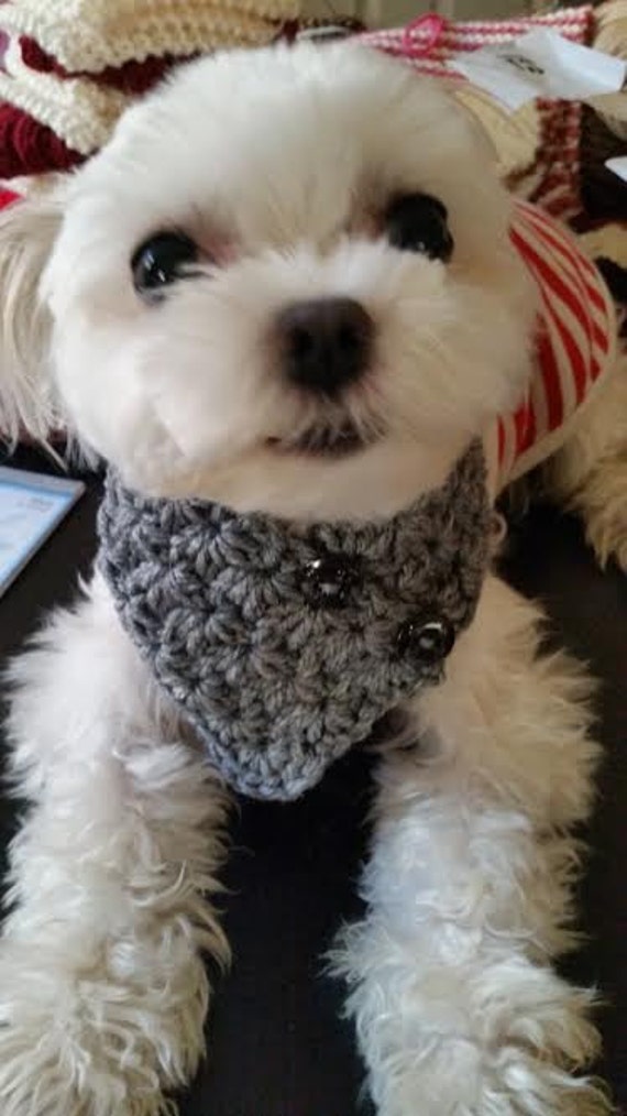 Crocheted Small Dog Puppy scarf fits most S or M dogs