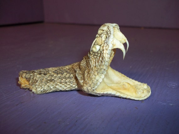 stuffed rattle snake