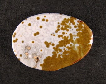 Ocean Jasper Medallion Cab / Cabochon ETOJ343