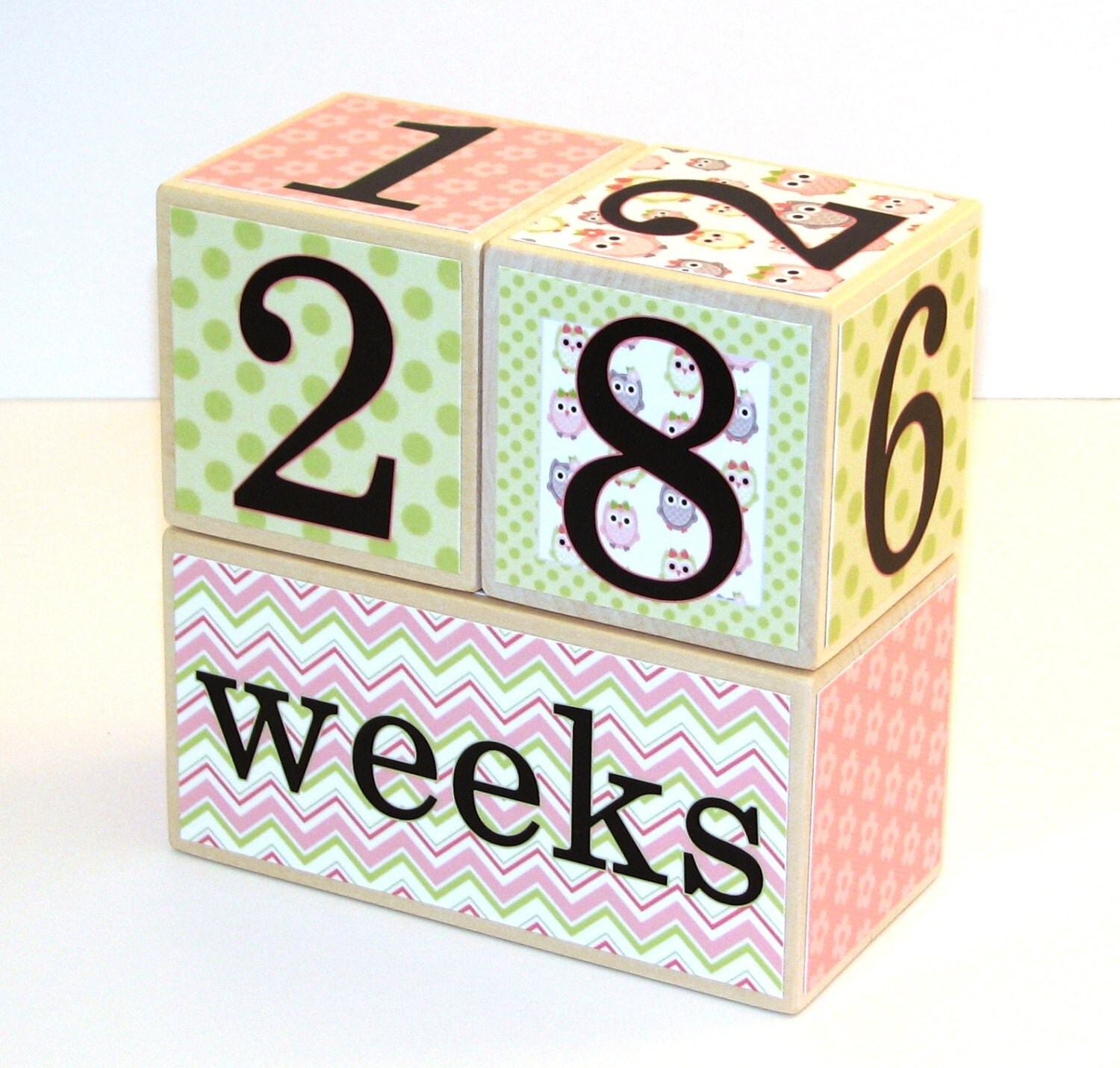 Baby Age Blocks Girl LARGE Month Blocks by CoconutHutBoutique