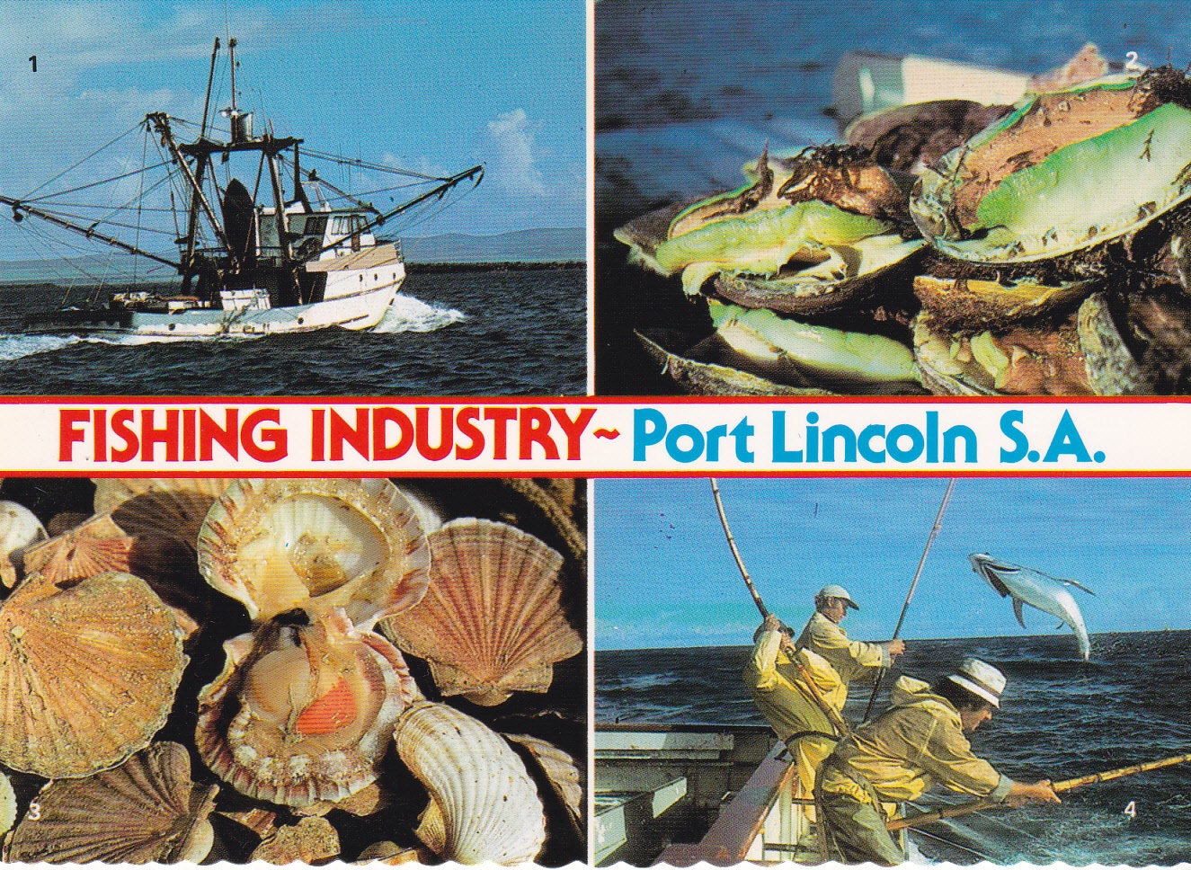 Postcard of Fishing Industry Port Lincoln South Australia