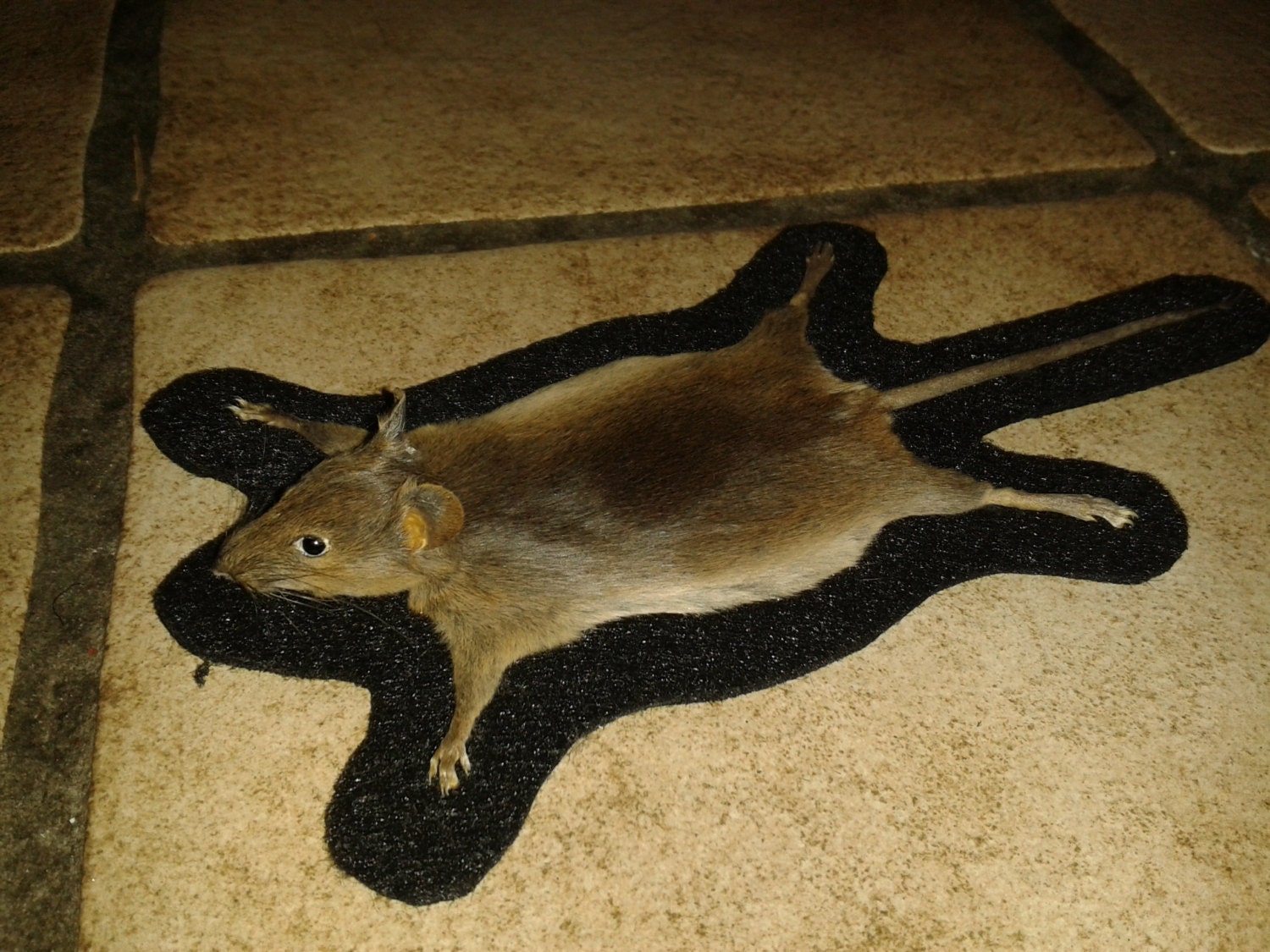 Stuffed mouse rug mouse rug rat rug Hamster rug by TaxidermyBox
