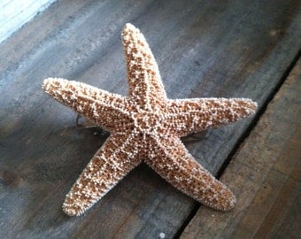 Starfish Barrette - Starfish Hair Clip - Hair Clip - Mermaid Hair Clip, Beach Wedding