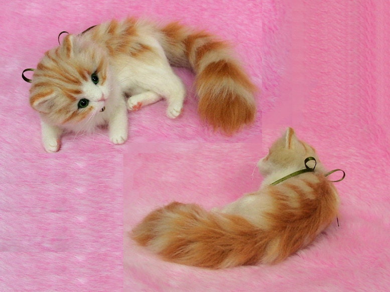 fluffy orange tabby kittens