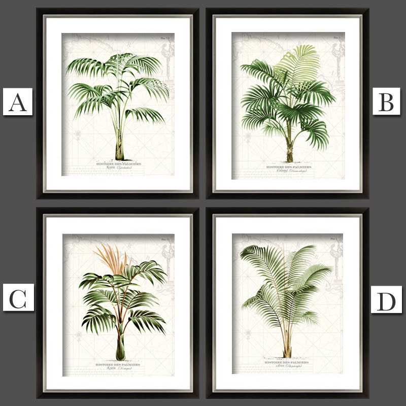 Palm Tree Prints Palm Print Vintage Palm Trees Natural