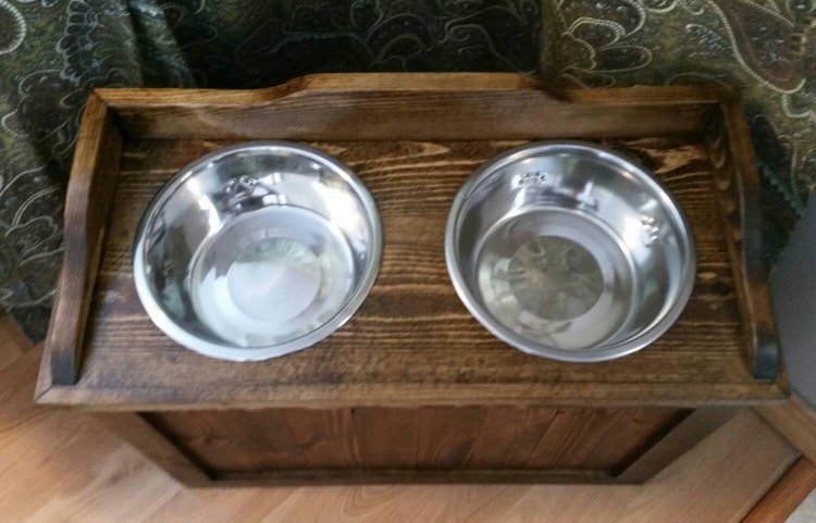 raised dog feeder