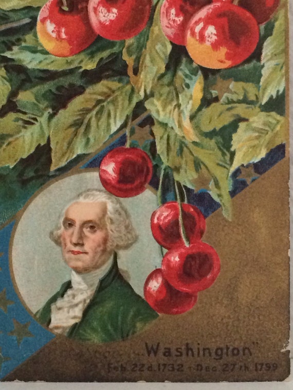 Vintage Postcard George Washington Cherries 1910