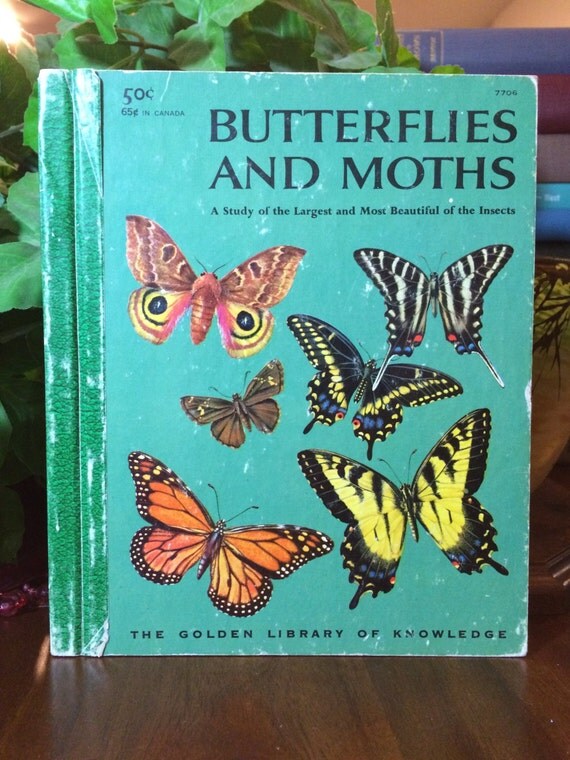 On Sale Butterflies and Moths A Study of the Largest and