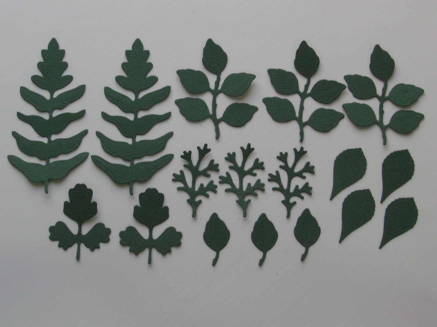 Green leaf die cuts Spring Leaf die cuts Summer leaves Leaf