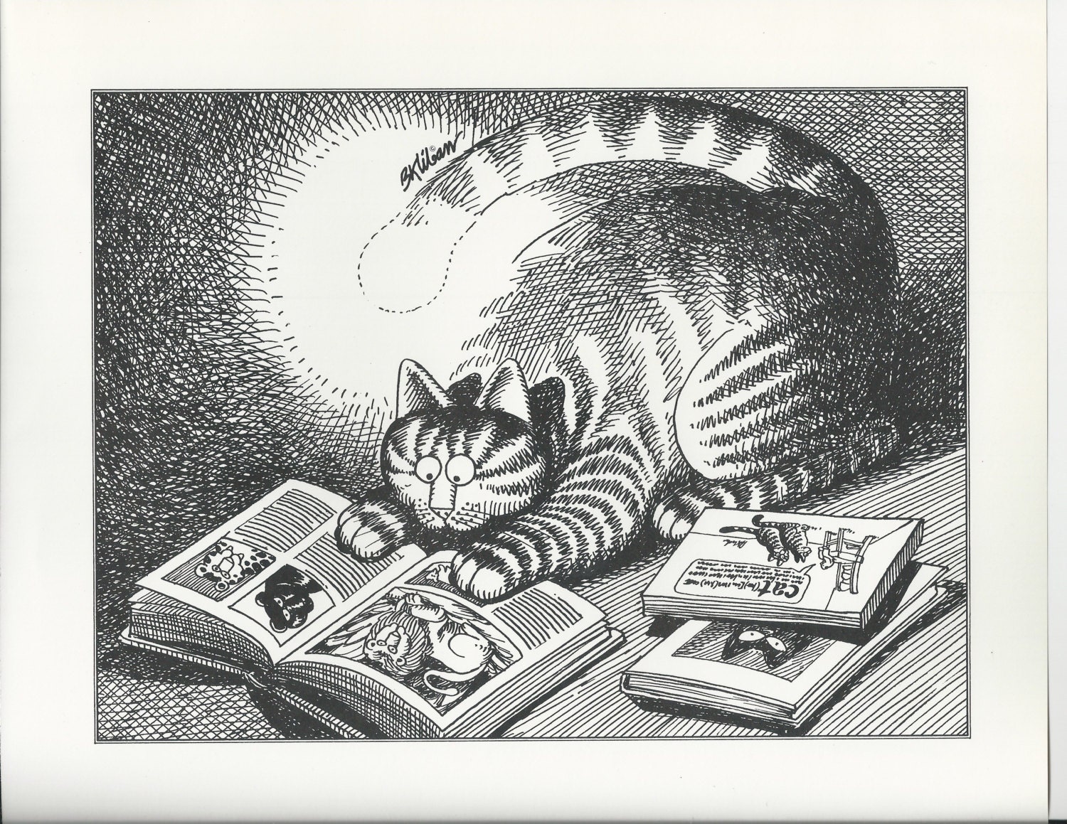 B. Kliban Cat Original Vintage Art Print Reading By Tail Light