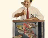Televised birds.  Collage print by Vivienne Strauss