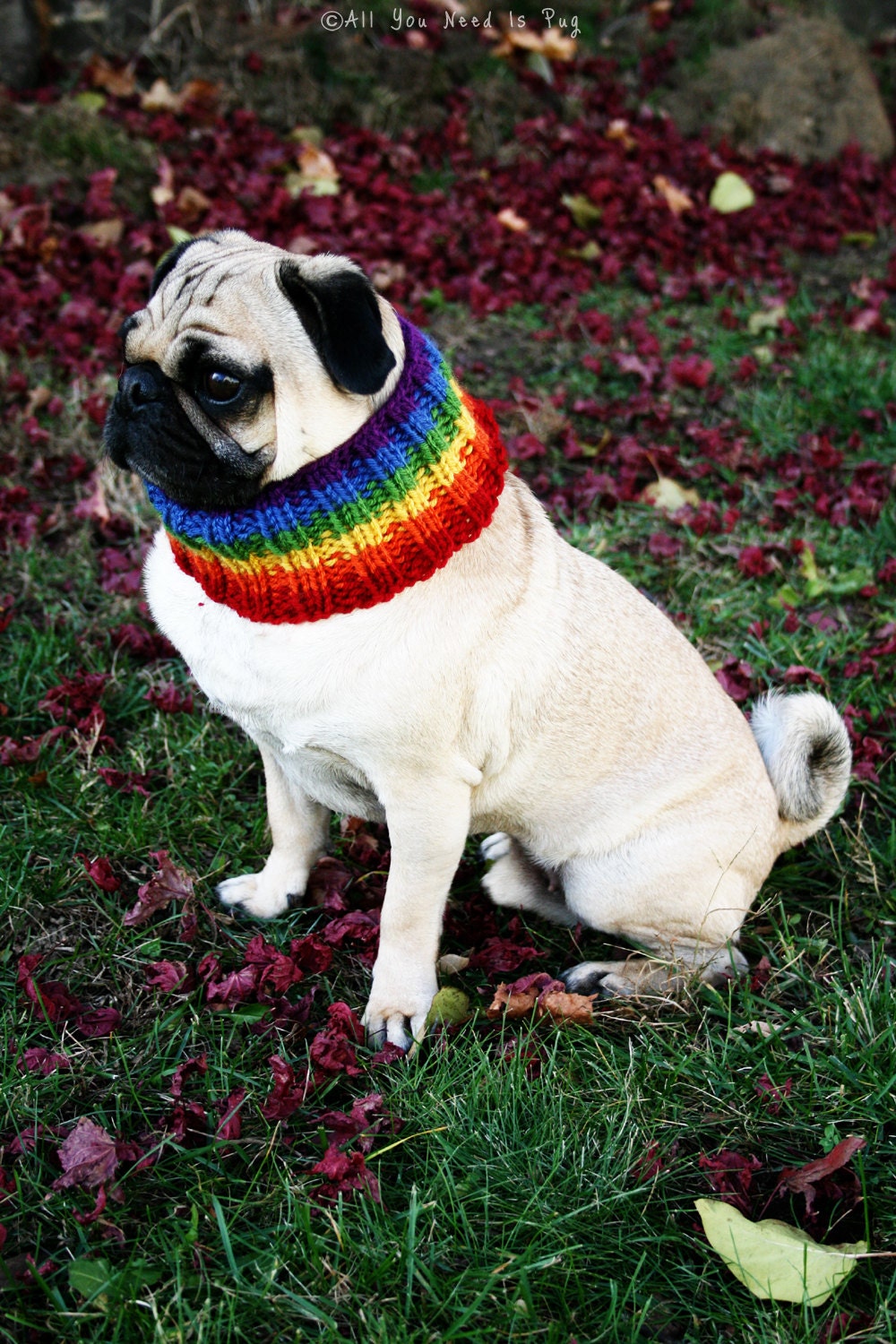 Rainbow Neck Warmer for Dog Neck Warmer Dog Scarf Knit