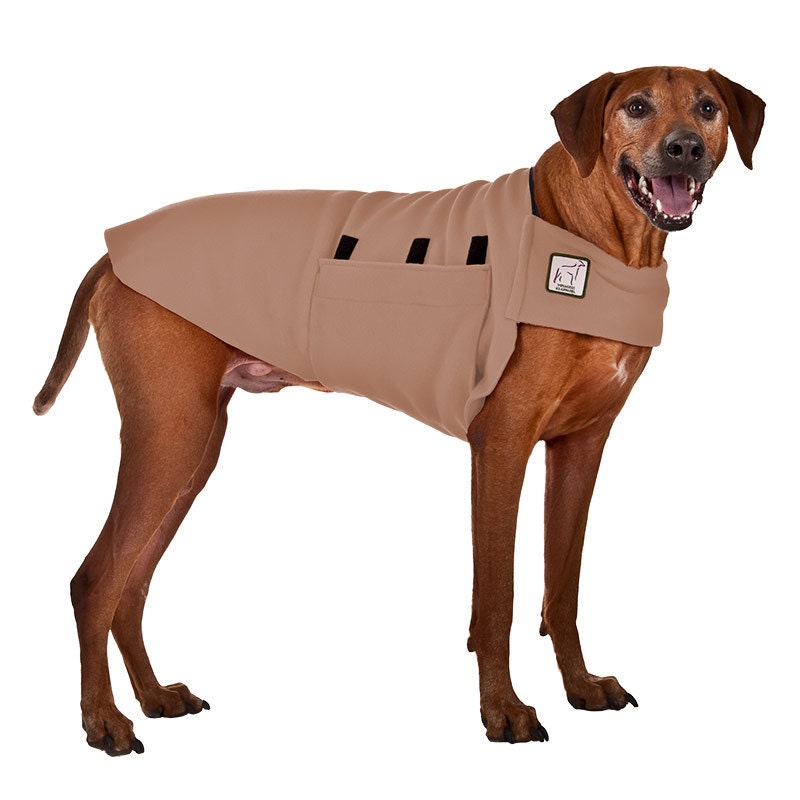 rhodesian ridgeback jacket