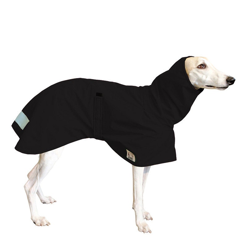 Thewhippetcoat