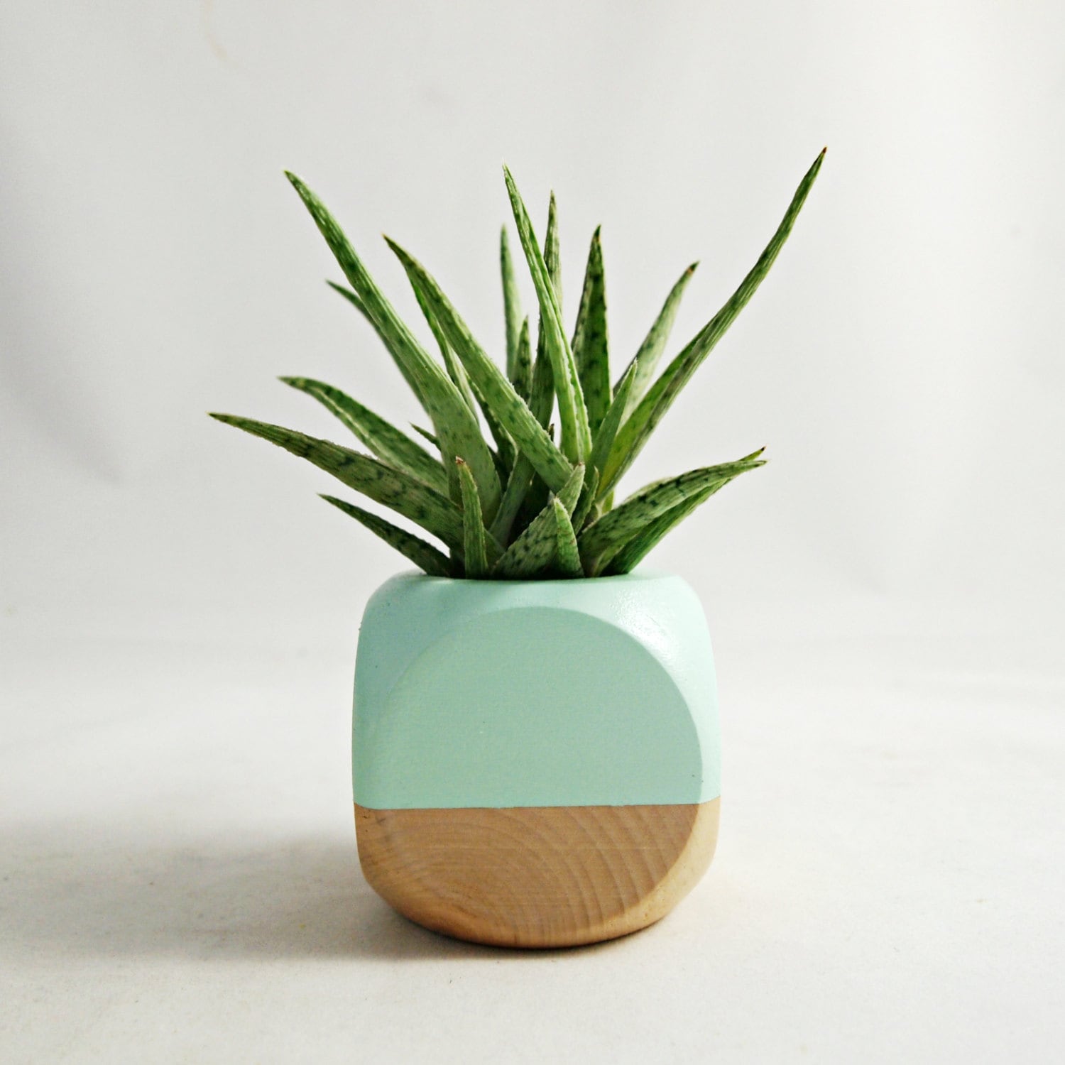 Geometric Succulent Cactus Planter // Mint Wood by