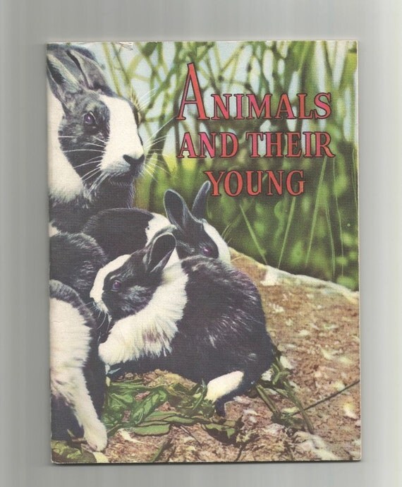 Vintage Children's Book Animals And Their Young by SunshineBooks