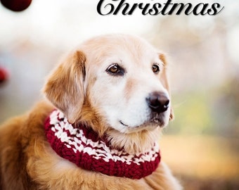 Popular items for cowl for dogs on Etsy