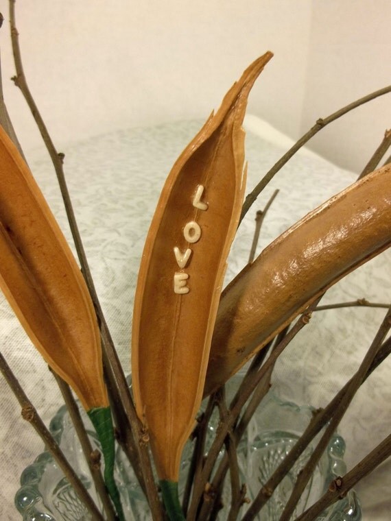 Rustic Love Dried Trumpet Flower Seed Pod by ArtistTreeCurios