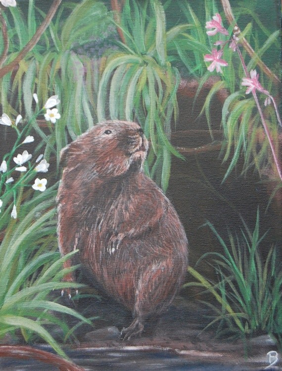 Water Vole Original Painting Canvas