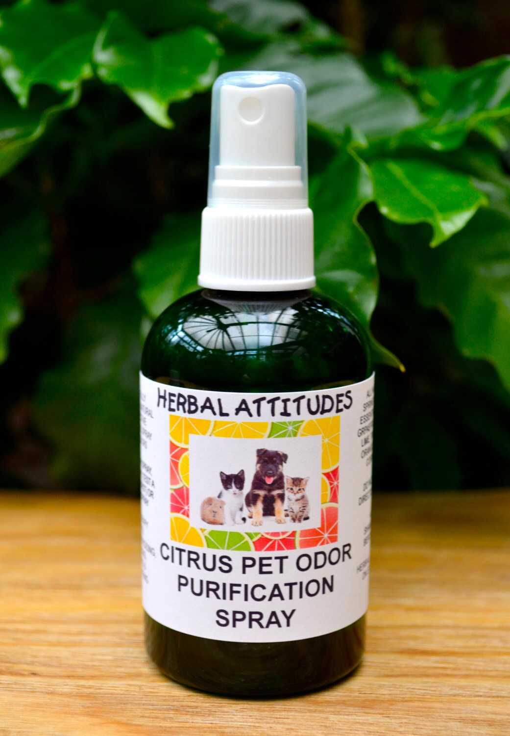 Citrus Pet Odor Purification Spray