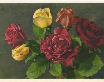 Roses by Thor E. Gyger, Adelboden, Switzerland - Unused Vintage Botanical Postcard, ca. 1940 #1967