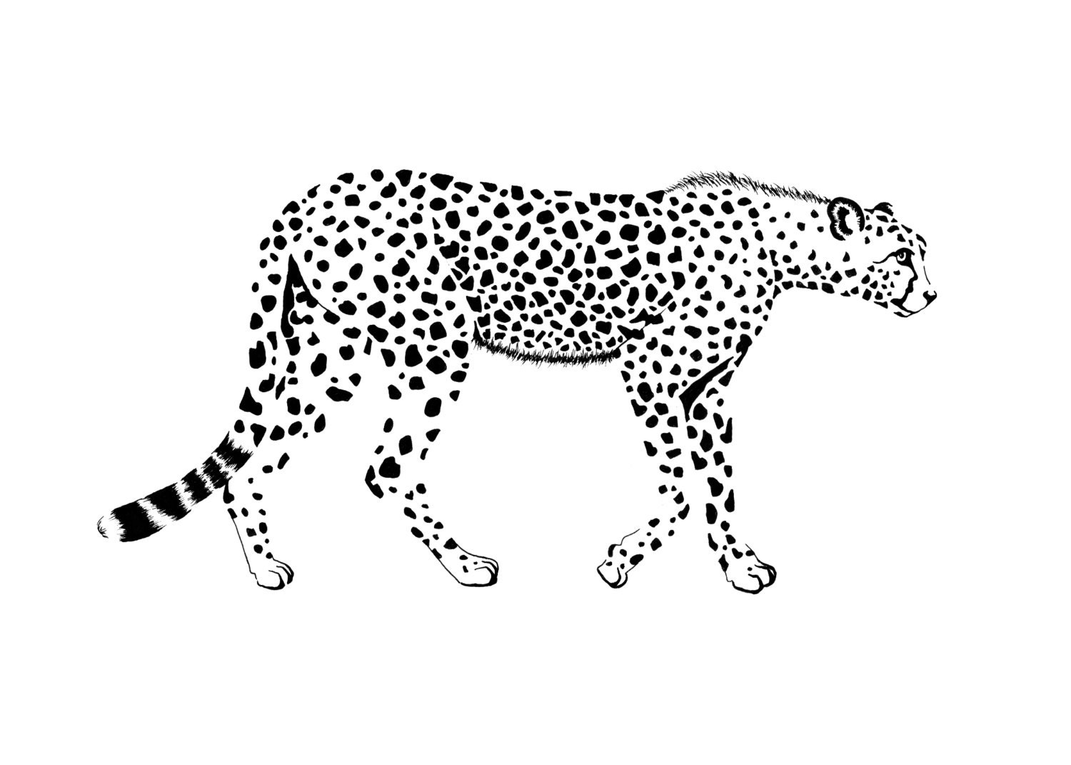 Трафарет гепарда для вырезания