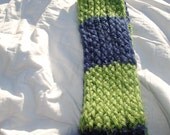Super Warm and Comfy Green and Navy Blue Scarf