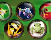 Frogs- Bubble Frogs 2.25 inch Pin Back Buttons or Magnets, set of 5--