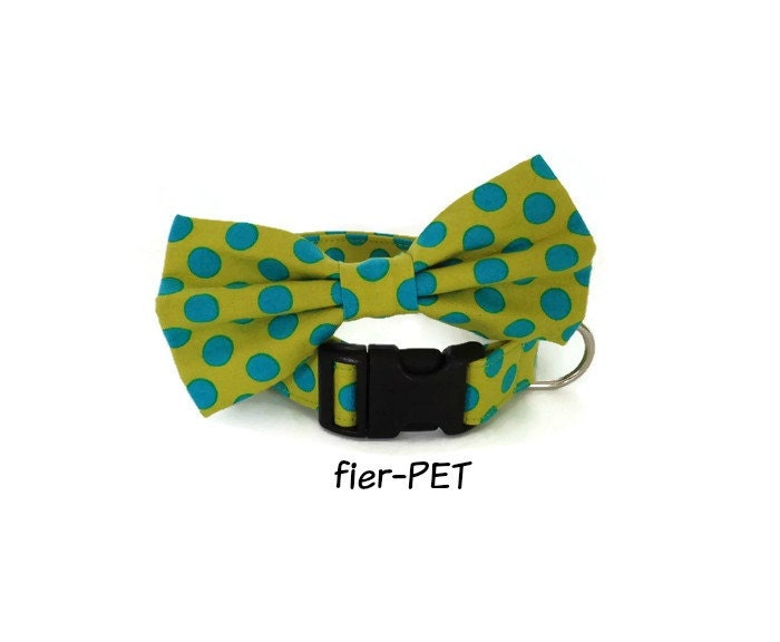 Dog collar and bow tieDesigner collardog bow tie by Fierpet