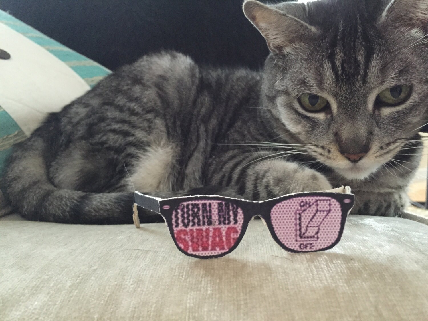 Official Swag Glasses for CATS urshercats by UrsherCats on Etsy