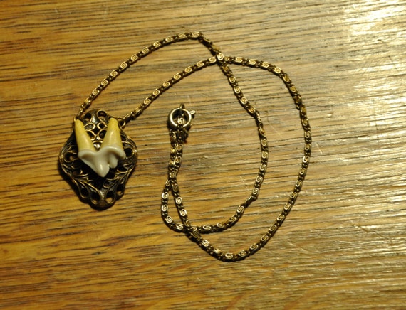 coyote-tooth-necklace-by-haleygunz-on-etsy