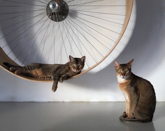 The wall cat wheel // the wall bike for cats by HolinDesign