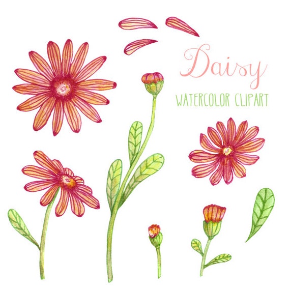 etsy watercolor clipart - photo #6