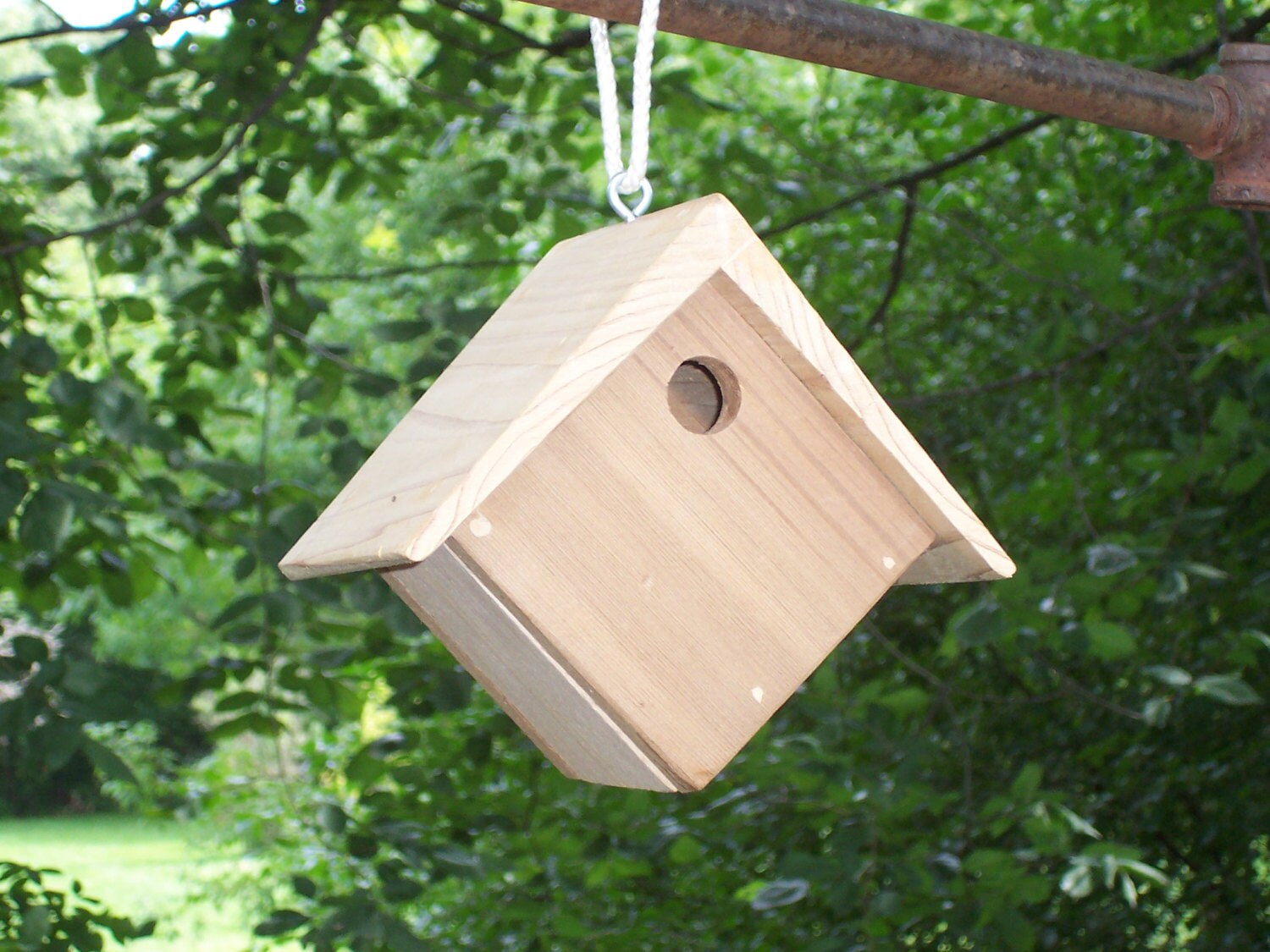 diamond-shaped-wren-house-with-cedar-tappered-roof