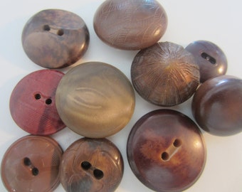 Vintage Buttons - assortment of novelty buttons in shades of brown lot of 11, celluloid and vegetable, old and sweet(mar 356)