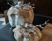 Set of 2 PUMPKINS Silver and White Fall thru Christmas Table Decoration Winter White
