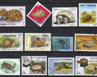 Popular Items For Turtle Stamp On Etsy